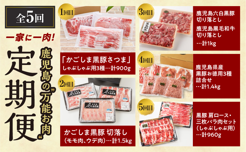 【全5回】一家に一肉！鹿児島の万能お肉定期便　K000-T2326