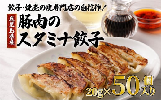 餃子・焼売の皮専門店の自信作！鹿児島県産豚肉のスタミナ餃子　K033-003