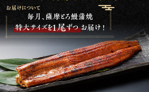 【全12回定期便】薩摩大とろ鰻蒲焼特大サイズ一尾　K190-T04