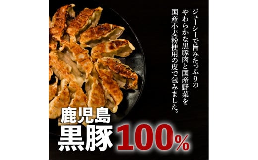 鹿児島黒豚100％餃子　64個入り　K027-009