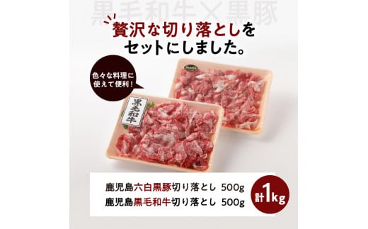 鹿児島六白黒豚切り落とし500g・鹿児島黒毛和牛の切り落とし500g　K130-005