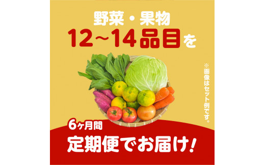 【JA直売所セレクト】6ヵ月定期便！旬鮮野菜・果物セット（12〜14品目）　K072-T01