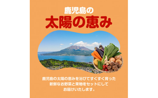 【JA直売所セレクト】旬鮮野菜・果物セット（12〜14品目）　K072-001
