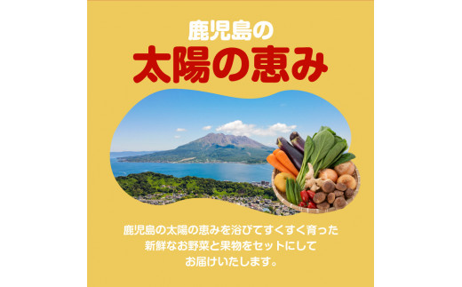 【JA直売所セレクト】6ヵ月定期便！旬鮮野菜・果物セット（12〜14品目）　K072-T01