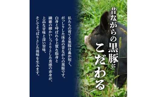 種豚場がお届けする鹿児島伝統の黒豚　黒胡椒の効いた黒豚ウインナー　K125-002