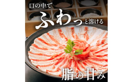 「黒豚料理専門店　寿庵」黒豚しゃぶしゃぶセット（3〜4人前）　K049-001