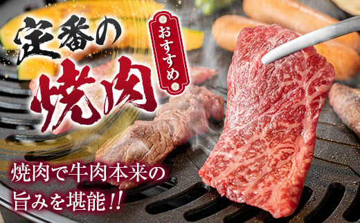 鹿児島県産黒毛和牛おまかせ焼肉600g 　K208-015