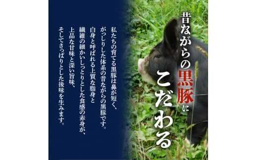 昔ながらの黒豚しゃぶしゃぶセット【バラ、ロース、肩ロース】３〜４人前　K125-003