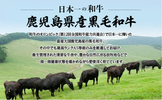 A5等級鹿児島県産黒毛和牛赤身ステーキ600g　K002-028