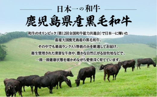 A5等級鹿児島県産黒毛和牛しゃぶしゃぶすき焼き用400g　K002-027