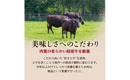 鹿児島県産黒毛和牛サーロインステーキ　K098-002