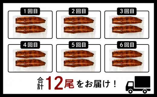 【全6回定期便】薩摩とろ鰻蒲焼二尾　K190-T01