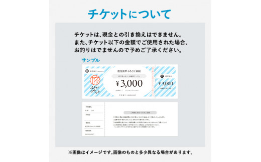 潤風丸利用クーポン券（3,000円分）　K153-FT001