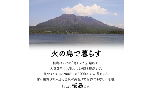 桜島の椿油2本セット　K062-003