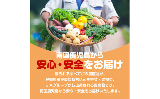 【JA直売所セレクト】旬鮮野菜・果物セット（12〜14品目）　K072-001