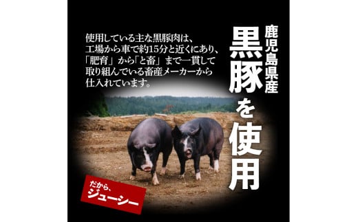 鹿児島黒豚100％餃子　64個入り　K027-009