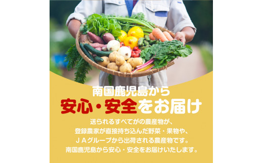 【JA直売所セレクト】12ヵ月定期便！旬鮮野菜・果物セット（12〜14品目）　K072-T02