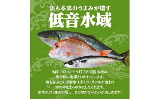 【海幸】簡単・便利お魚惣菜詰合せFO-01　K065-004