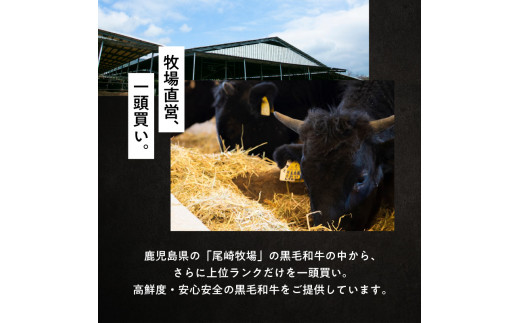 鹿児島六白黒豚切り落とし500g・鹿児島黒毛和牛の切り落とし500g　K130-005