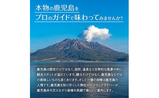 鹿児島市内観光＋知覧観光めぐり6時間コース（小型タクシー）4名様まで　K192-FT005