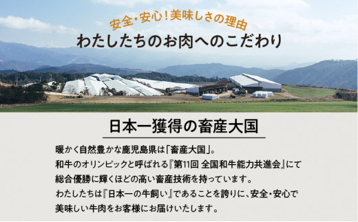 A5等級鹿児島県産黒毛和牛赤身ステーキ600g　K002-028