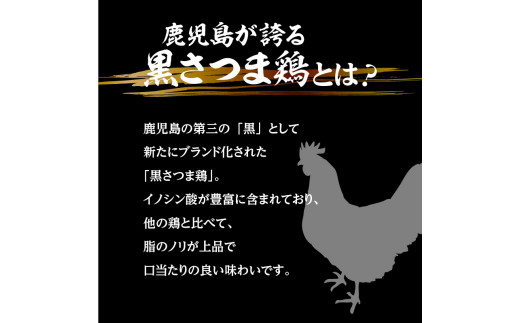 鹿児島三黒肉（黒毛和牛・黒豚・黒さつま鶏）のしゃぶしゃぶセット 700g　K134-006