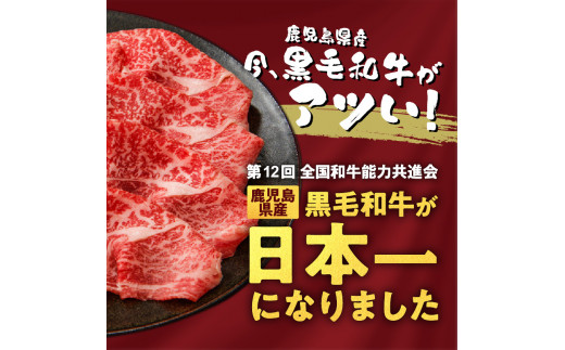 鹿児島黒毛和牛×鹿児島黒豚合挽ハンバーグ（湯銭タイプ・ソース入り）6個　K130-007