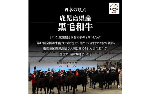 【岩元精肉店】鹿児島県産黒毛和牛ビーフシチューと鹿児島県産黒毛和牛薄切り味噌漬けセット　K045-004