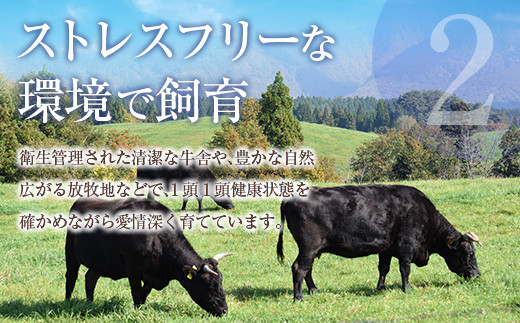 鹿児島県産黒毛和牛おまかせ焼肉600g 　K208-015