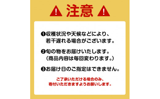 【JA直売所セレクト】12ヵ月定期便！旬鮮野菜・果物セット（12〜14品目）　K072-T02