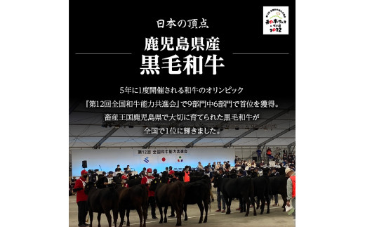 鹿児島黒毛和牛×鹿児島黒豚合挽ハンバーグ（湯銭タイプ・ソース入り）6個　K130-007