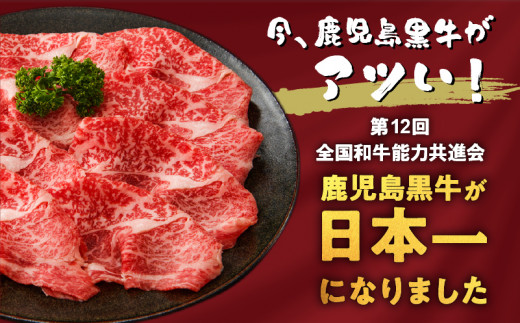 【訳あり】A5等級鹿児島県産黒毛和牛サーロインステーキ（スティック）500g　K002-030