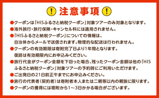 鹿児島県鹿児島市の対象ツアーに使えるHISふるさと納税クーポン 寄附額100,000円　HIS-010