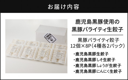 鹿児島黒豚使用の黒豚バラエティ生餃子　K202-002