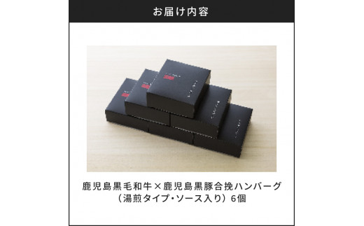 鹿児島黒毛和牛×鹿児島黒豚合挽ハンバーグ（湯銭タイプ・ソース入り）6個　K130-007