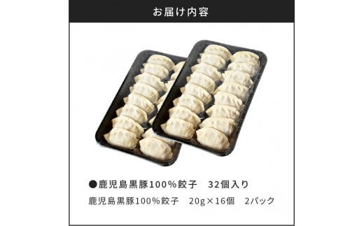 鹿児島黒豚100％餃子　32個入り　K027-007