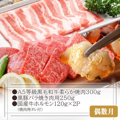 定期便2回配送　お肉充実!黒毛和牛・黒豚　合計2Kg　DD-6011【1504877】ふるさと納税 定期便 牛肉 豚肉 切り落とし しゃぶしゃぶ ホルモン すき焼き 焼肉