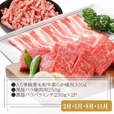 総重量3Kg越え、鹿児島県産黒毛和牛と黒豚のお料理定期便(3回配送)　EE0-0002【1504377】 ふるさと納税 定期便 牛肉 豚肉 切り落とし しゃぶしゃぶ ハンバーグ ミンチ すき焼き 焼肉