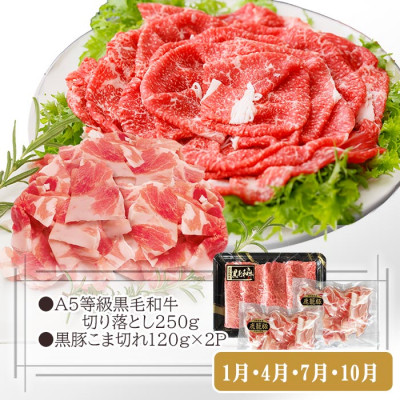 定期便3回配送　お楽しみバラエティー　OO-0004【1528204】　ふるさと納税 定期便 牛肉 豚肉 切り落とし まぐろ ハンバーグ すき焼き 肉 鹿児島県 枕崎市