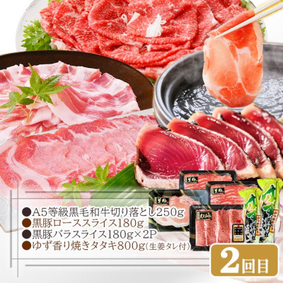 定期便2回配送　いろいろ試せる!ミニ削り器&お肉・お魚お届け便　CC0-0003【1507436】ふるさと納税 定期便 牛肉 豚肉 切り落とし しゃぶしゃぶ  タタキ カツオ かつおぶし すき焼き 焼肉