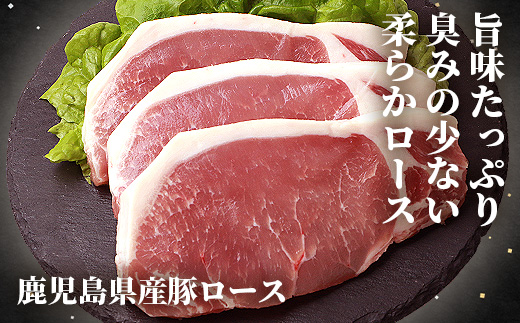 鹿児島県産豚 とんかつ用 ロース ヒレ 2種セット 豚ロース 豚ヒレ トンカツ 豚カツ