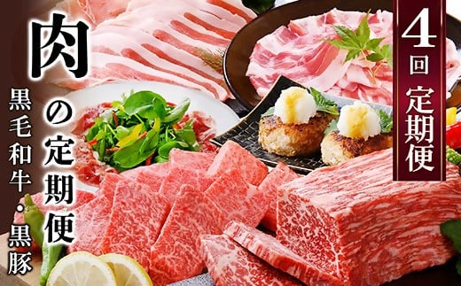 定期便4回配送　肉の定期便 EE-6016【1491491】 ふるさと納税 定期便 牛肉 豚肉 肉 黒豚 焼肉 ブロック肉 生ハム 餃子