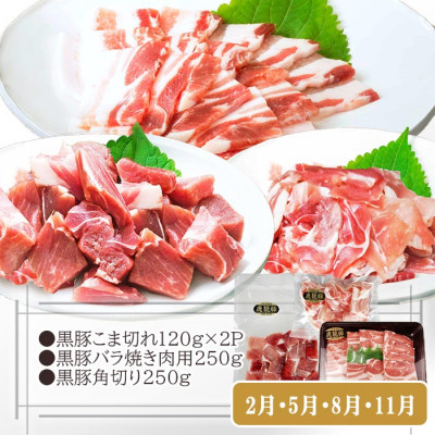 【お肉充実定期便】黒毛和牛・すき焼き・黒豚・焼肉・しゃぶしゃぶ　3回配送　OO-0005 ふるさと納税 定期便 肉 牛肉 豚肉 生ハム しゃぶしゃぶ 焼肉 カレー すき焼き 黒豚 黒毛和牛 鹿児島県 枕崎市