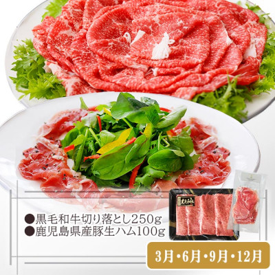 【お肉充実定期便】黒毛和牛・すき焼き・黒豚・焼肉・しゃぶしゃぶ　3回配送　OO-0005 ふるさと納税 定期便 肉 牛肉 豚肉 生ハム しゃぶしゃぶ 焼肉 カレー すき焼き 黒豚 黒毛和牛 鹿児島県 枕崎市