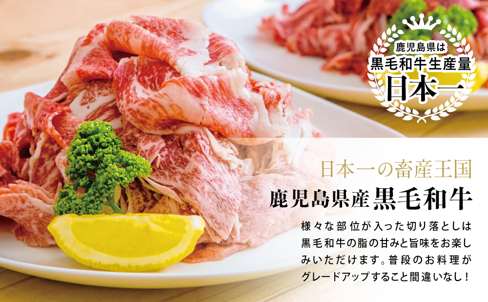 【訳あり】鹿児島県産 A5等級黒毛和牛切落し 計1.25kg（250g×5P） 国産牛 牛肉 国産 おかず カレー 牛丼 肉じゃが カミチク 切り落とし 小分けパック 冷凍