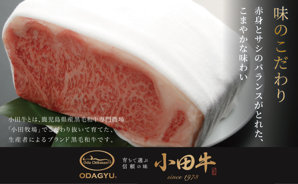 【プレミアムブランド】鹿児島県産黒毛和牛「小田牛」 ボロネーゼソース 3食（160g×3） 黒毛和牛 パスタ ソース おかず レトルト 小田畜産 南さつま市