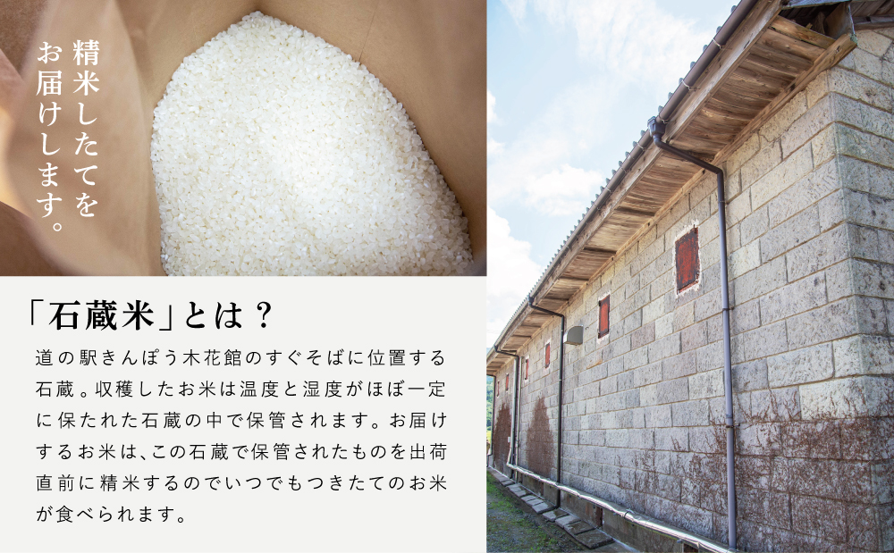 【定期便 全5回】＜令和6年産＞ 特別栽培米 金峰コシヒカリ 石蔵米 5kg×5ヶ月 お米定期便 特別栽培農産物 コメ おこめ 5キロ こしひかり 米 鹿児島県産 2024年産 南さつま市