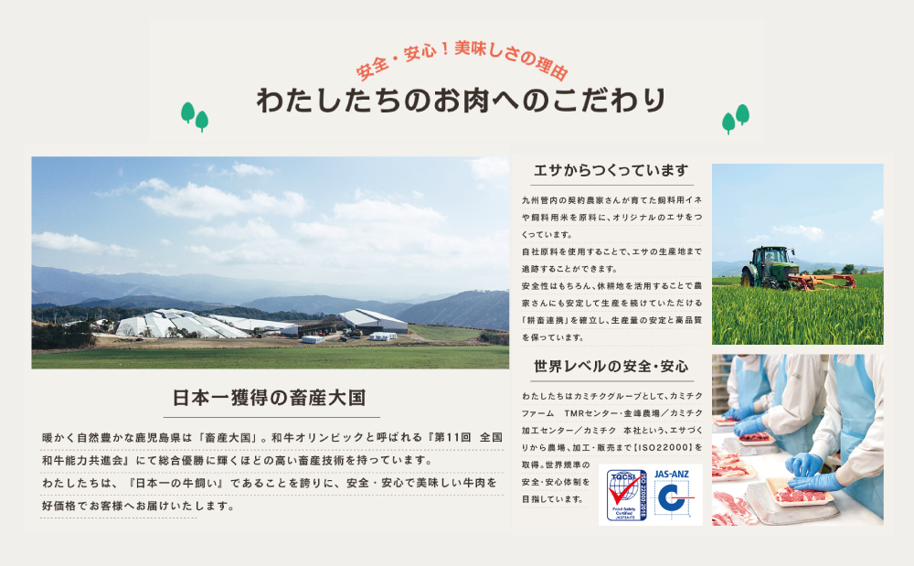 【自慢の自社ブランド牛】鹿児島県産 上村牛ロースステーキ400g（200g×2P） お肉 ステーキ 牛肉 かごしま 冷凍 カミチク 南さつま市