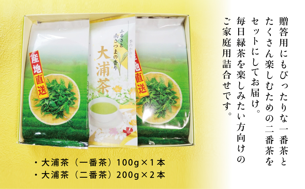 【ご家庭用】鹿児島県産緑茶 大浦茶 3本セット 計500g 鹿児島県産 かごしま お茶 日本茶 緑茶 茶葉 南さつま市 徳留茶農園