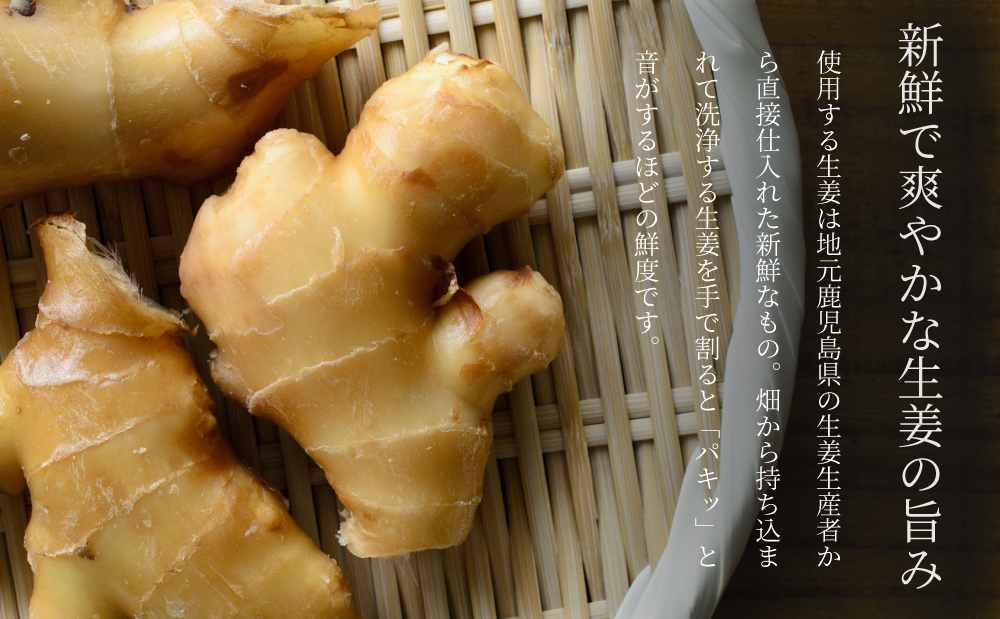 【健康習慣】生姜の佃煮・生姜酢漬け 2種 計8個
